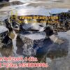 BÀN GHẾ ĐÁ ĐẸP NGUYÊN KHỐI TỰ NHIÊN
