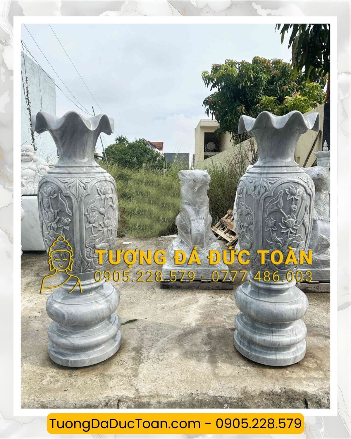 lục bình đá (1)