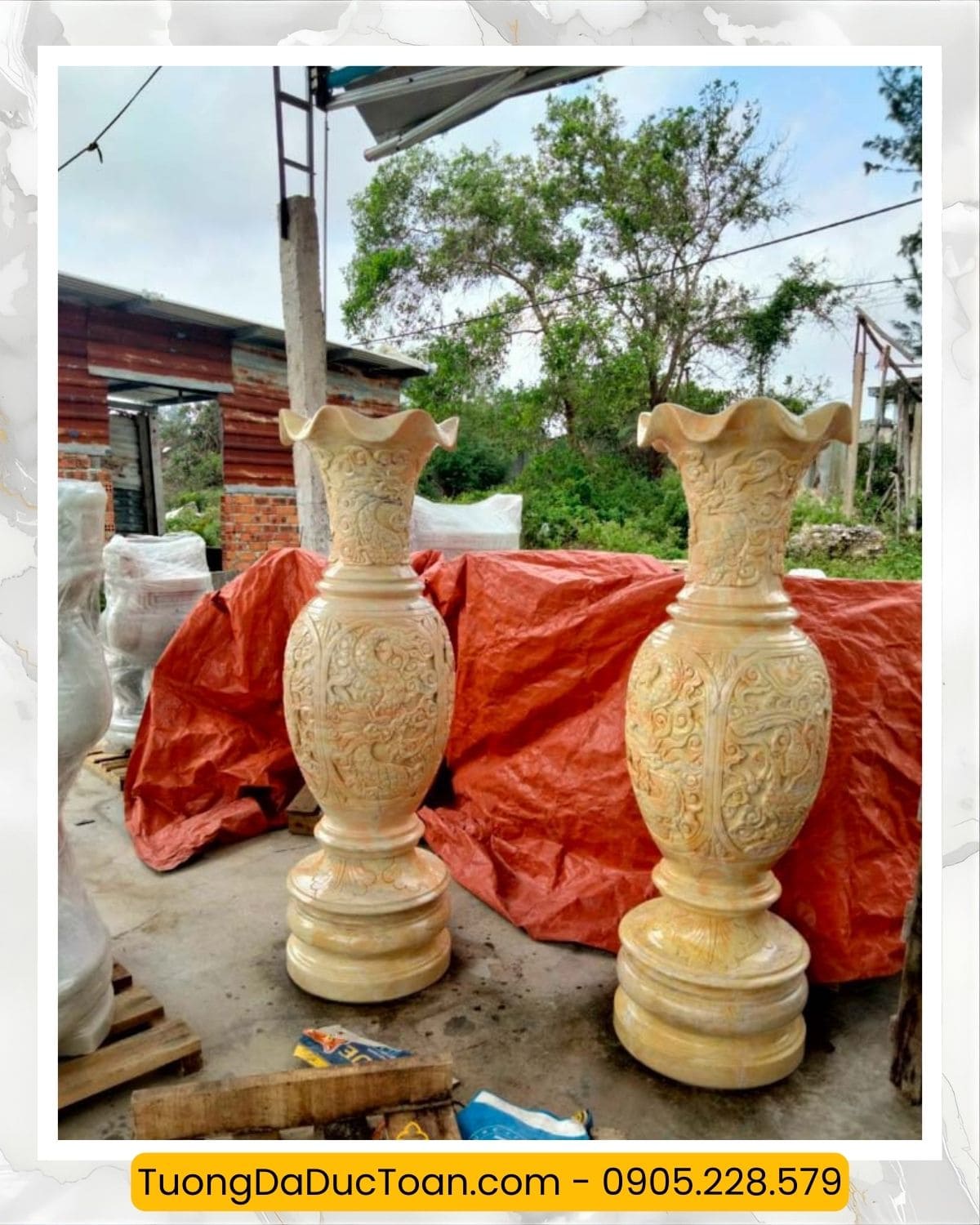 lục bình đá (2)