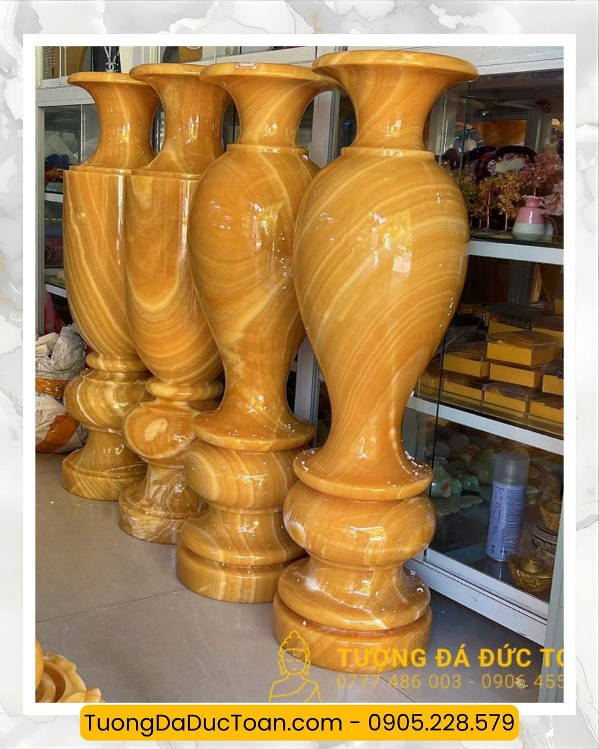 lục bình đá (5)