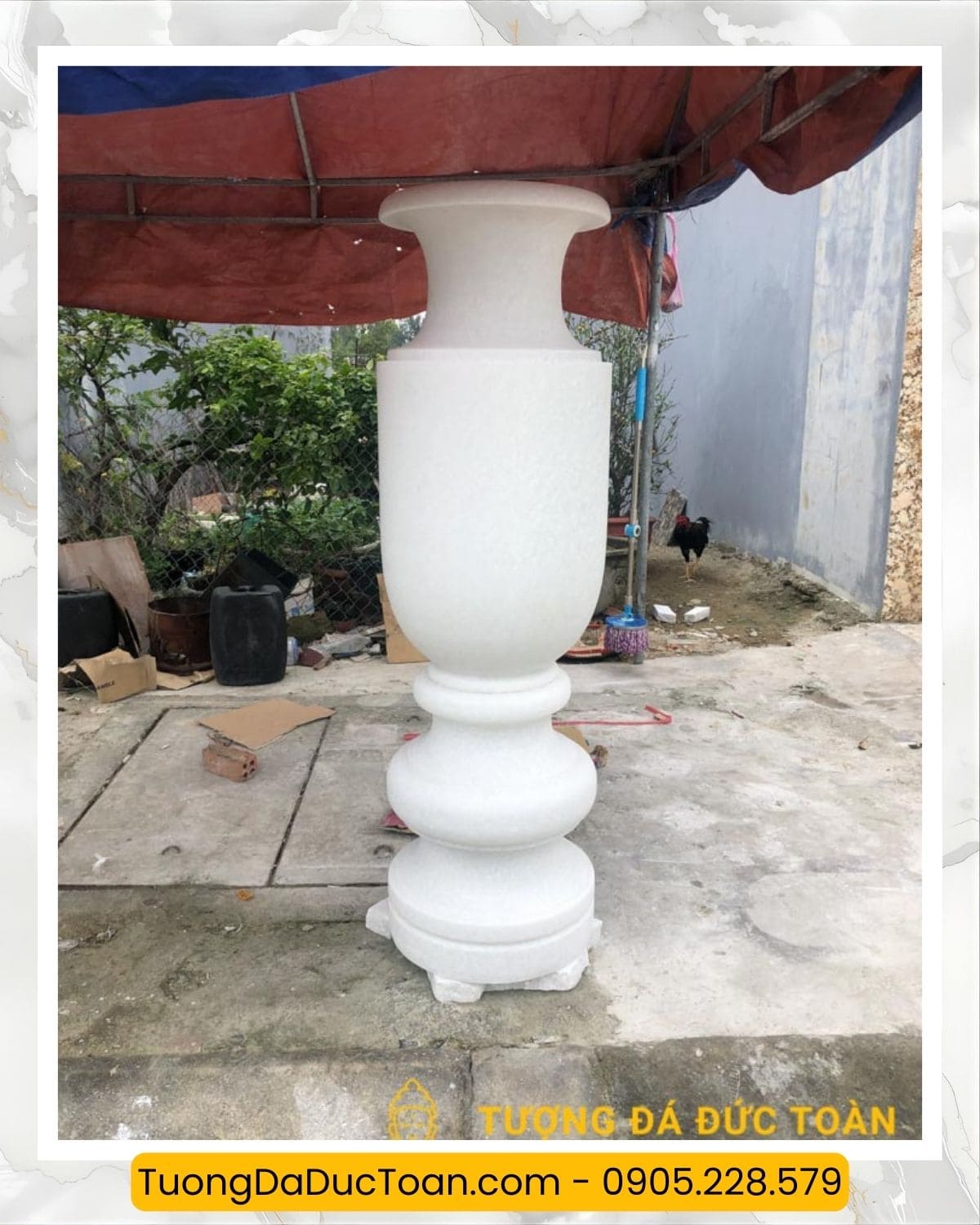 lục bình đá (6)