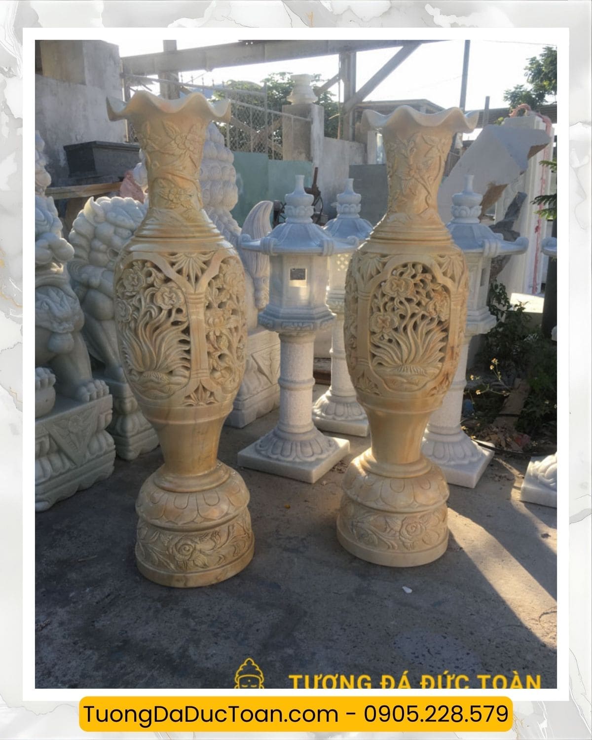 lục bình đá (7)