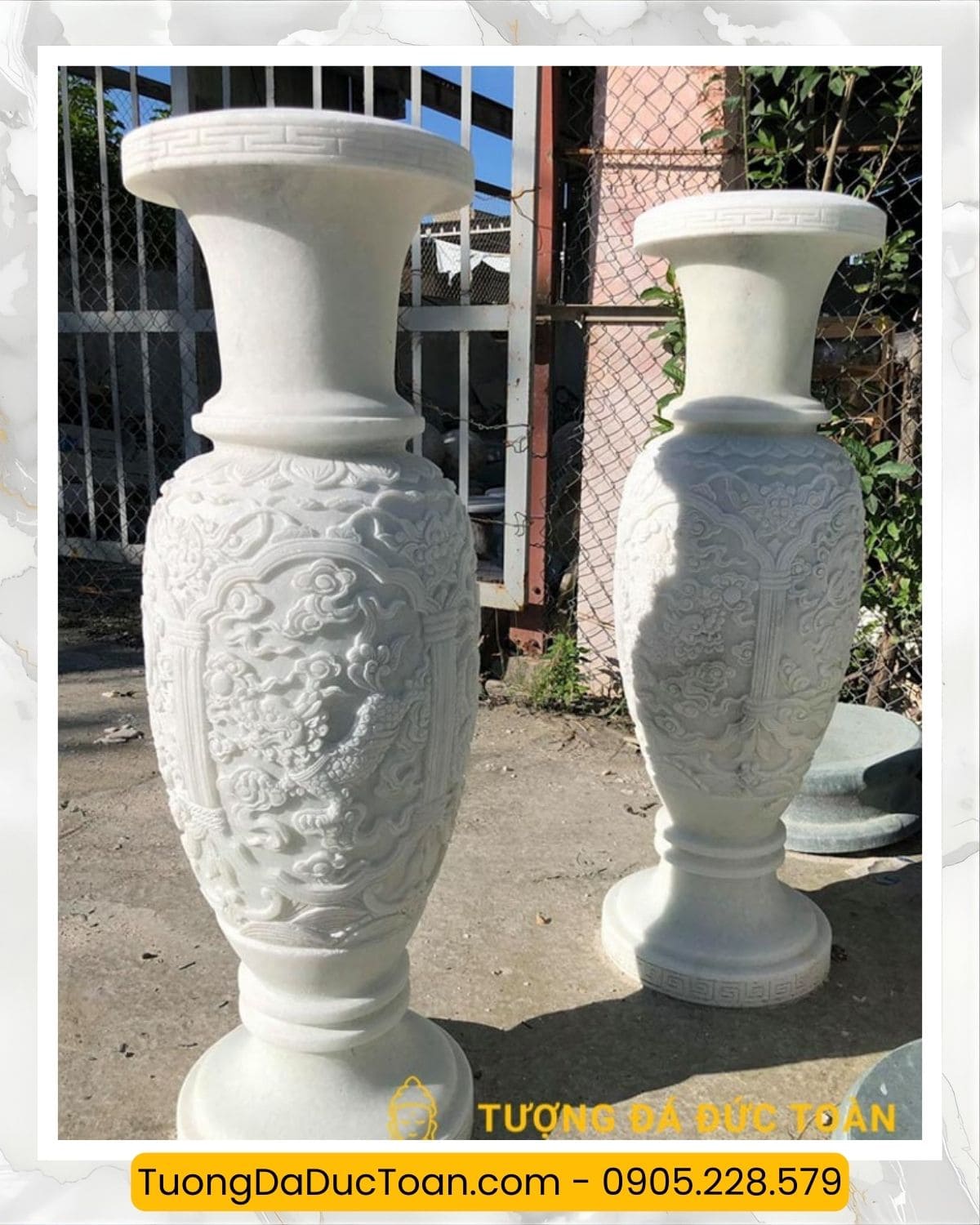 lục bình đá (8)