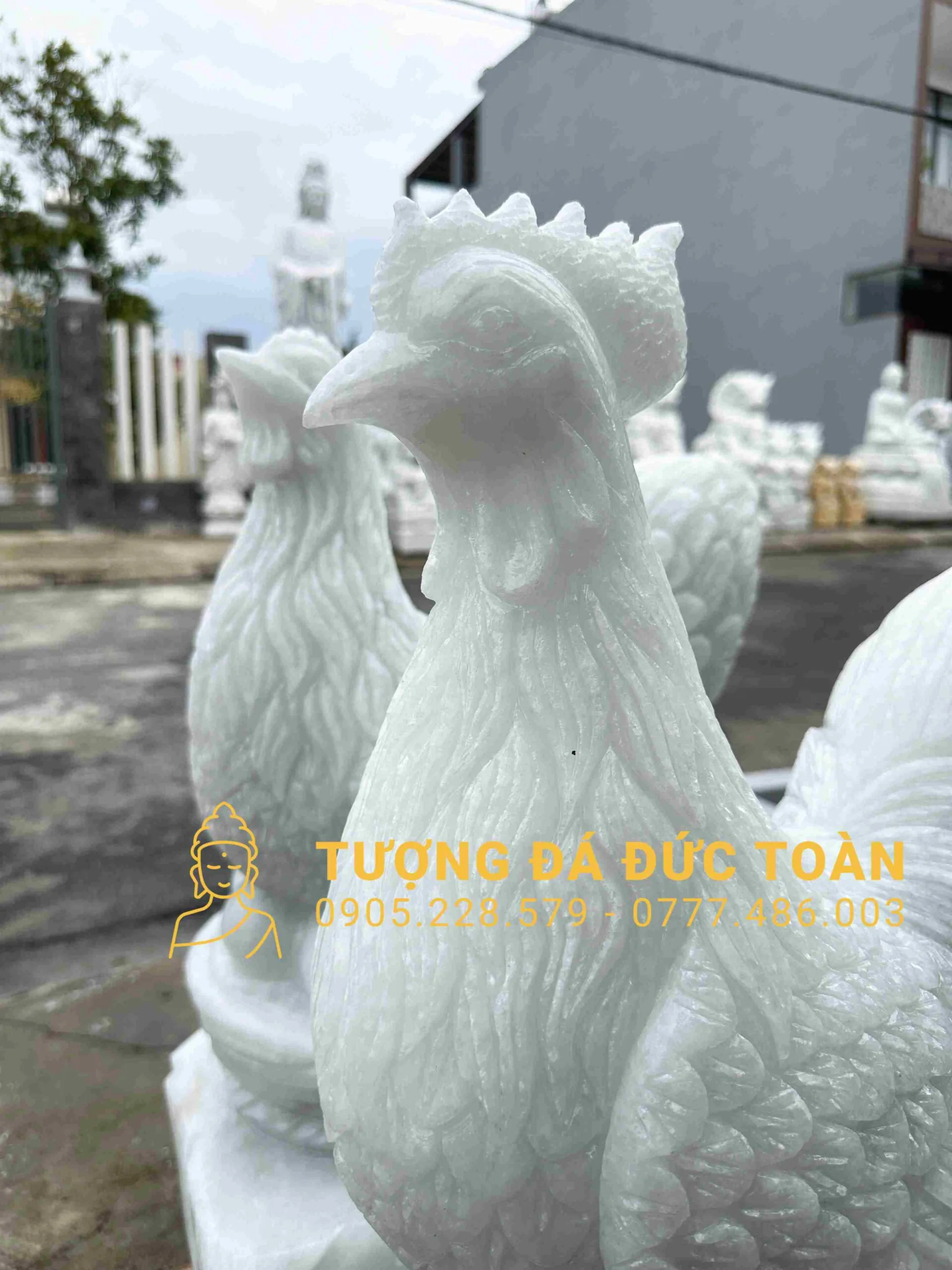 Góc nhìn phụ