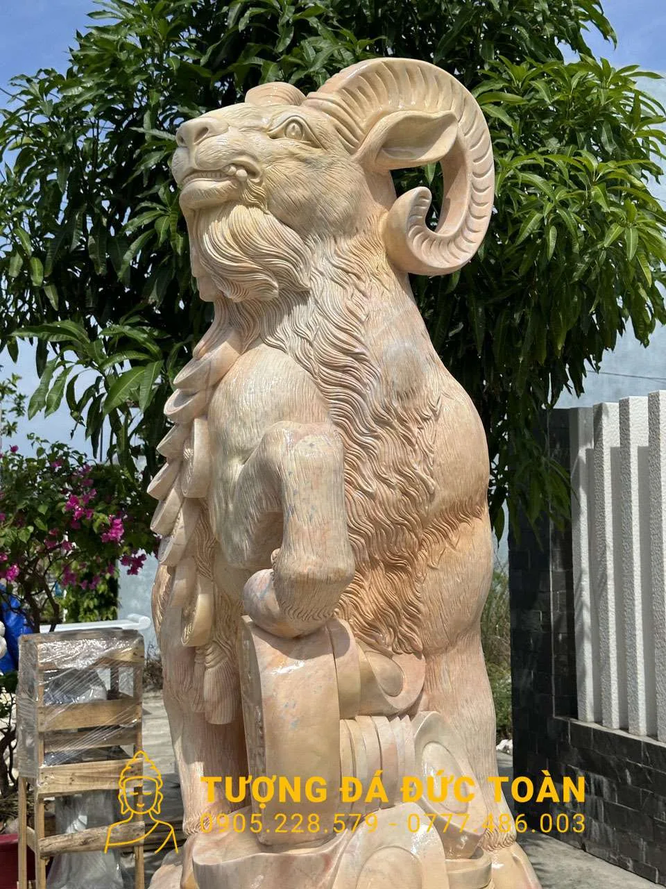 Góc nhìn phụ