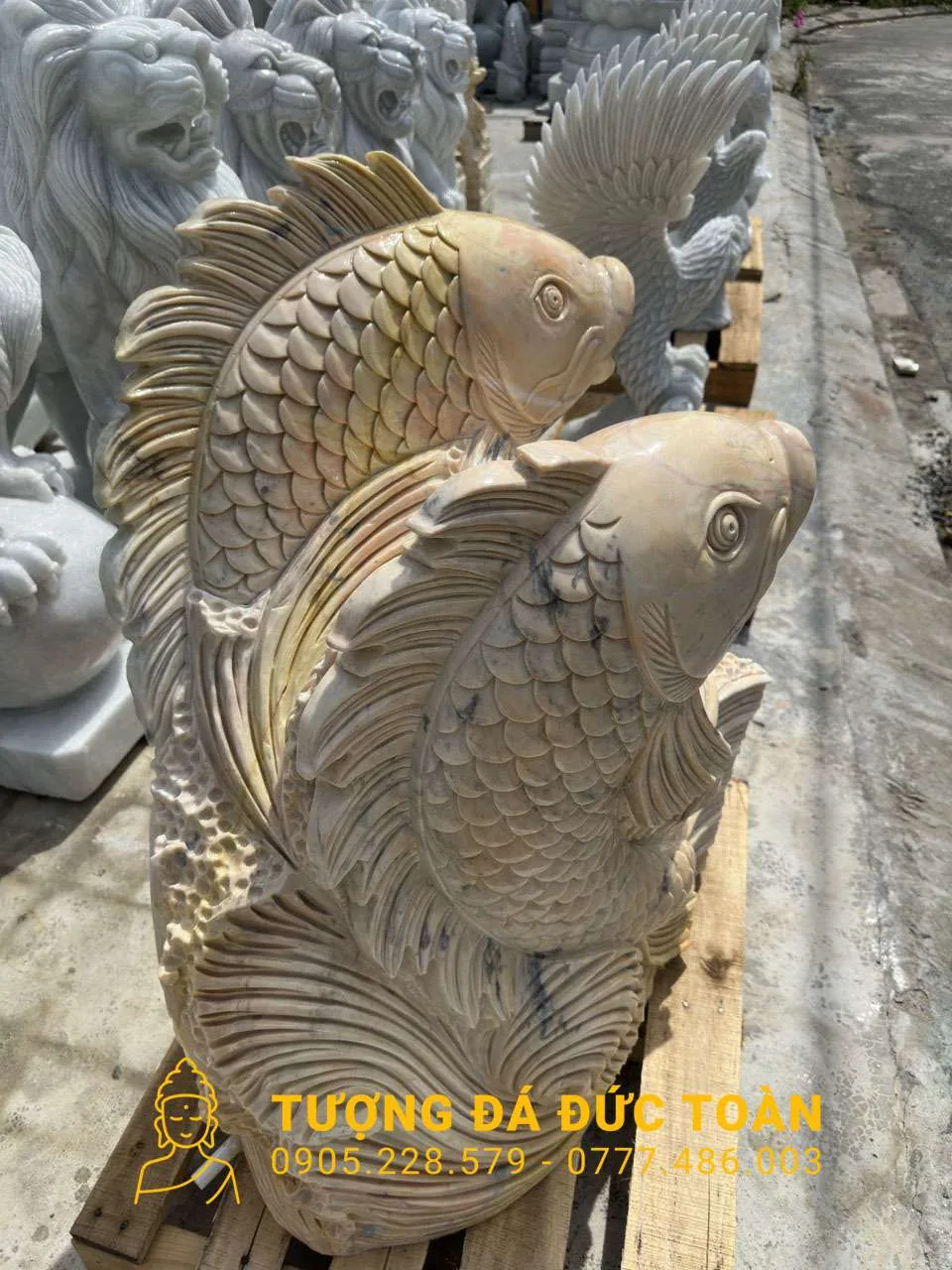 Góc nhìn phụ