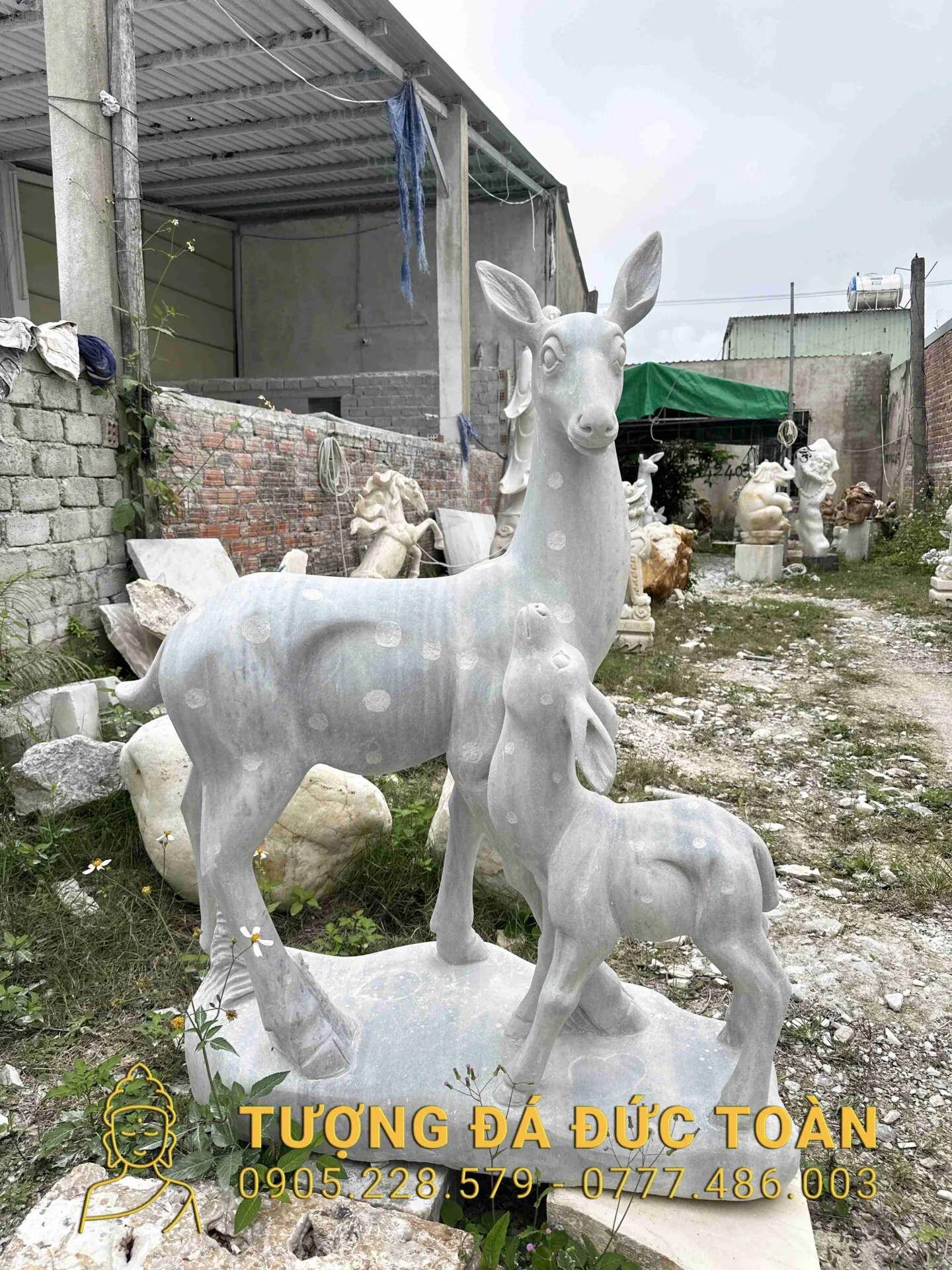 Góc nhìn phụ