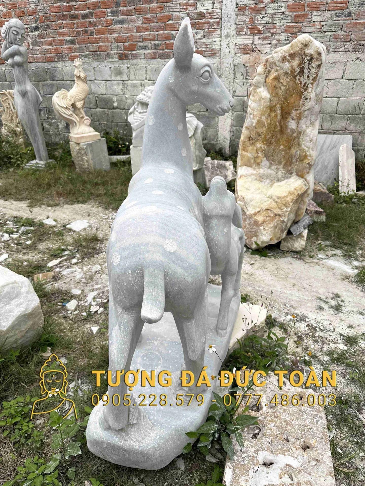 Góc nhìn phụ