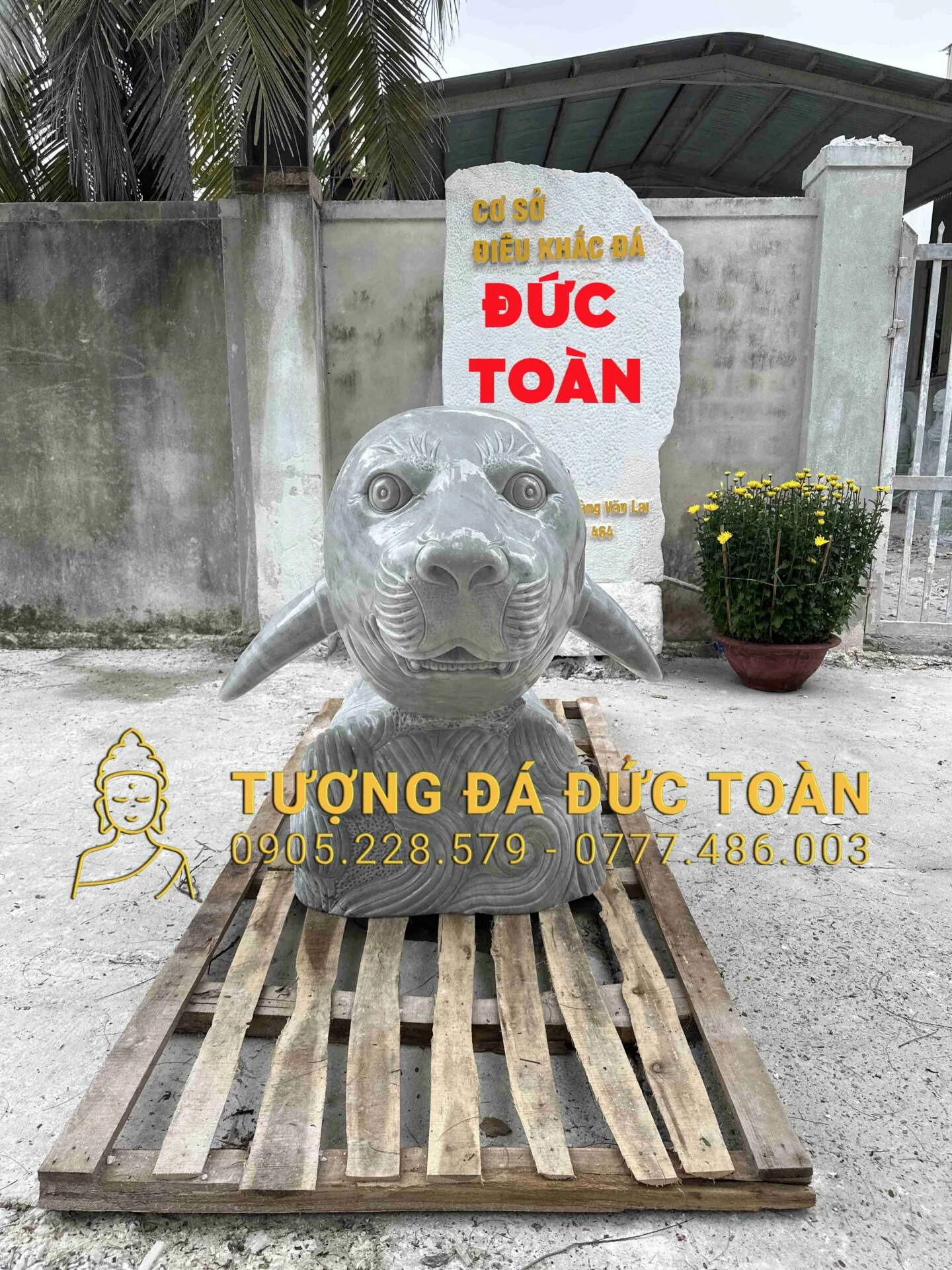 Góc nhìn phụ