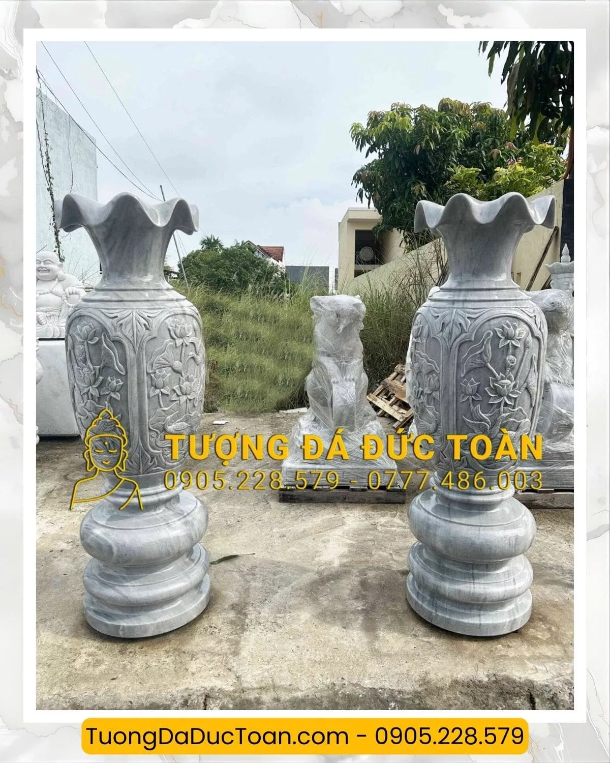 lục bình đá