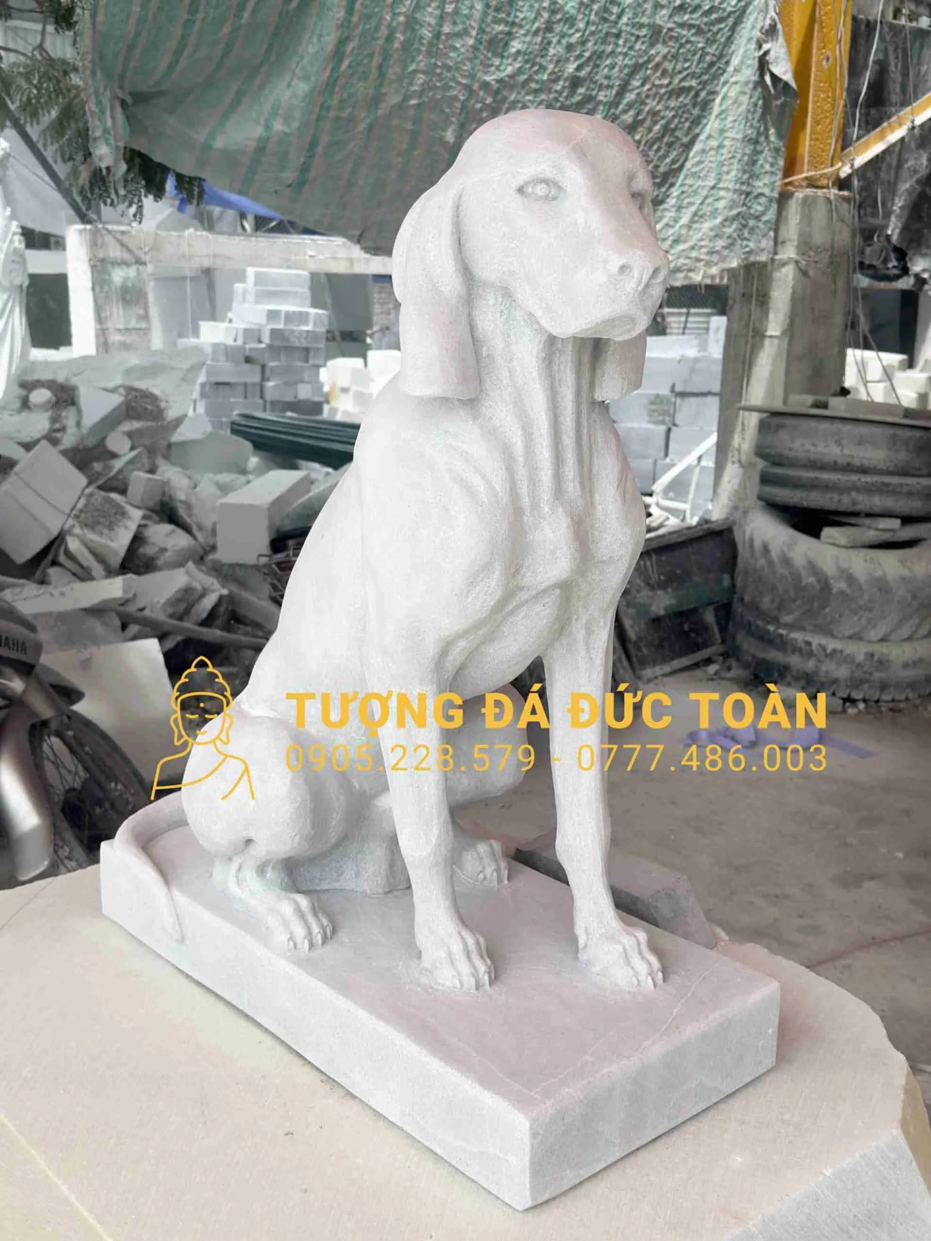 Góc nhìn phụ