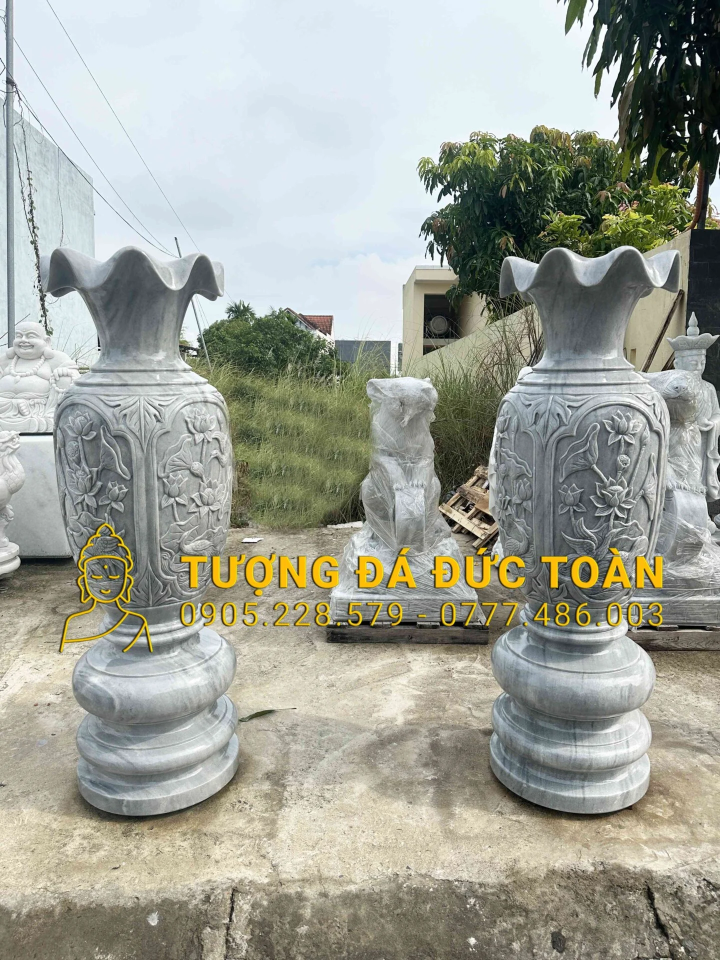 Lục Bình Đá