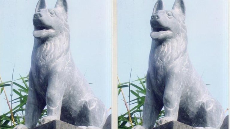 giá tượng chó đá