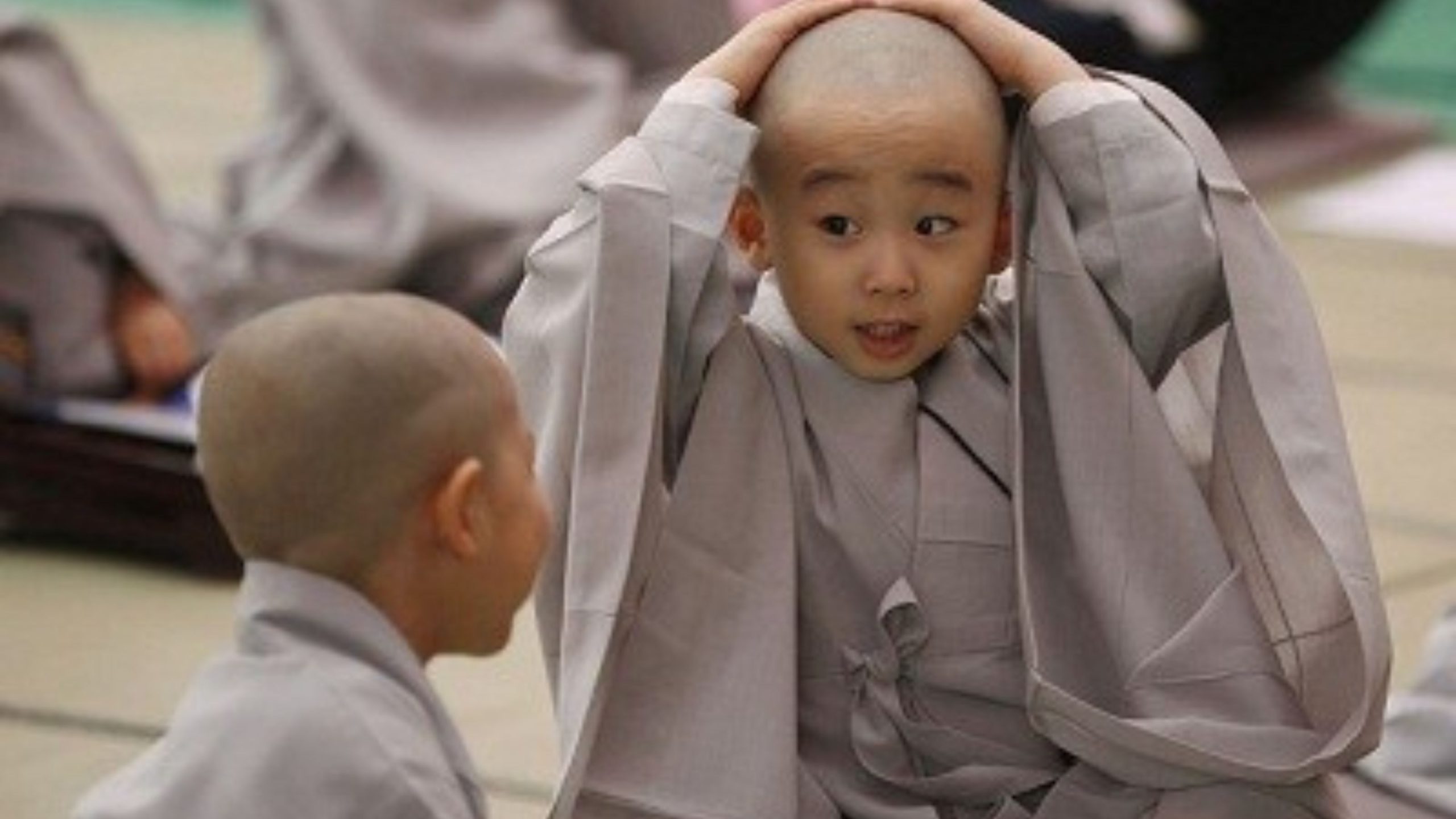 Một nhóm chú tiểu trong áo choàng xám.