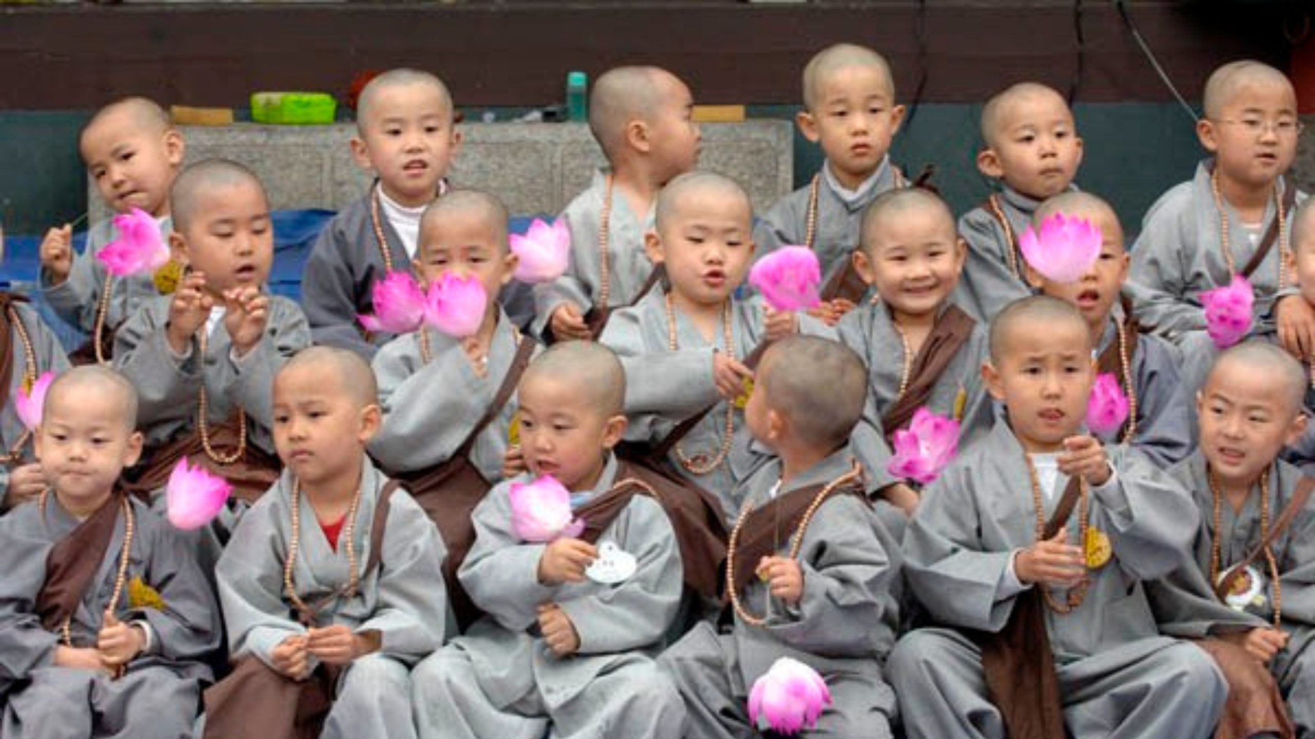 Một nhóm chú tiểu cầm bông hoa màu hồng.