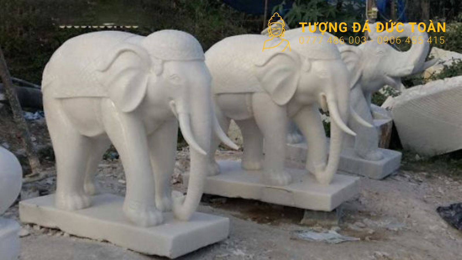 mẫu voi đa đơn giản