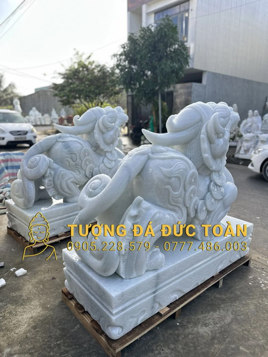Góc nhìn phụ