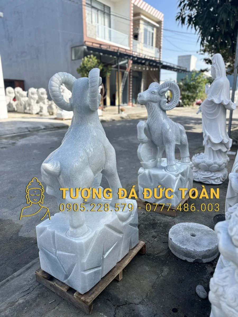 Góc nhìn phụ